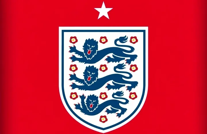 English Media Question FIFA's Referee Choice for England vs Argentina World Cup Semi-Final Match