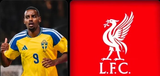 Alexander Isak Returns From International Duty With Minor Injury